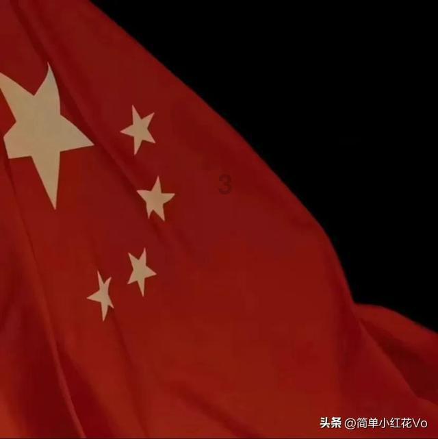 植物大战僵尸5